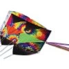 Parafoil 7.5 Kite - Tie Dye -Kite Shop 12044p tiedye revised