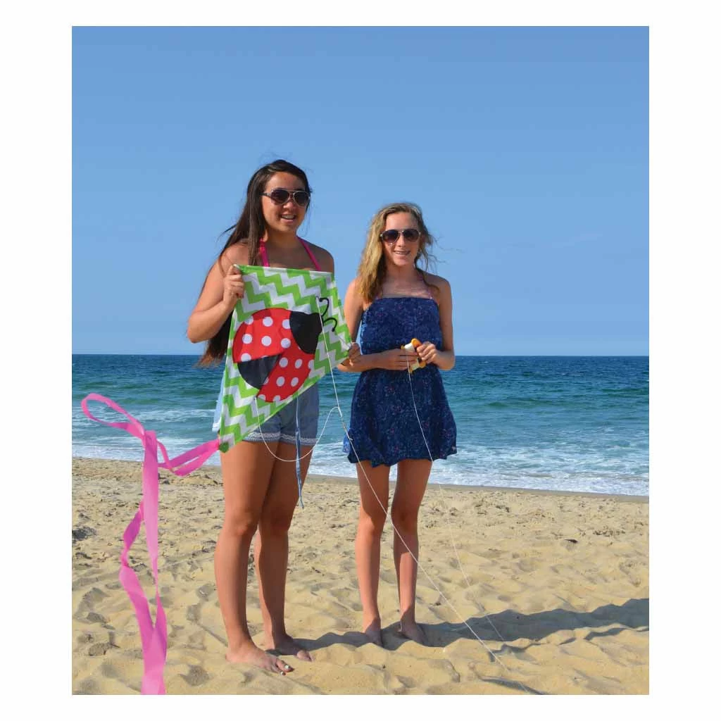 25 In. Diamond Kite - Lively Ladybug 5 25 In. Diamond Kite - Lively Ladybug - Image 3