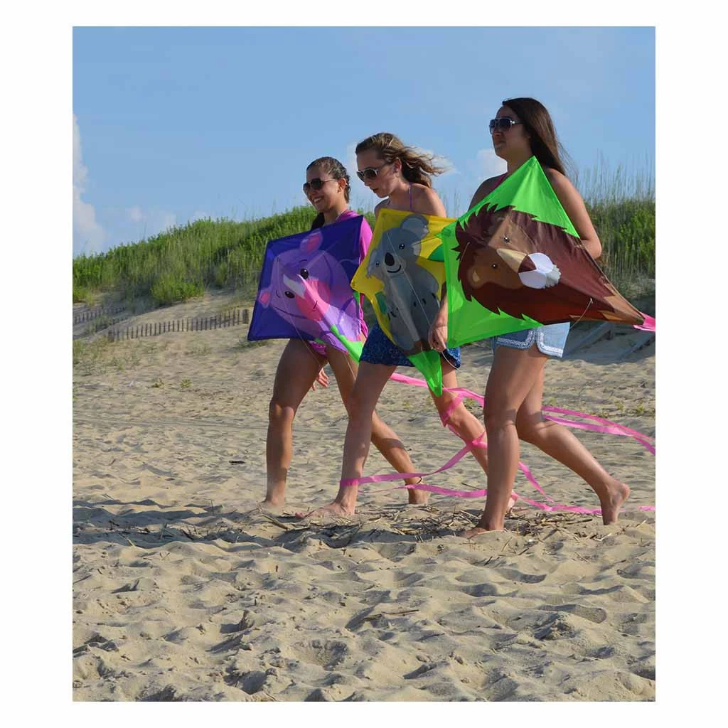 30 In. Diamond Kite - Lion 6 30 In. Diamond Kite - Lion - Image 4