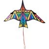 Thunderbird Kite - 16 Ft. Rainbow Geometric -Kite Shop 16141 1024