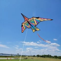 Thunderbird Kite - 16 Ft. Rainbow Geometric 7 Thunderbird Kite - 16 Ft. Rainbow Geometric -Kite Shop 16141 3 1024