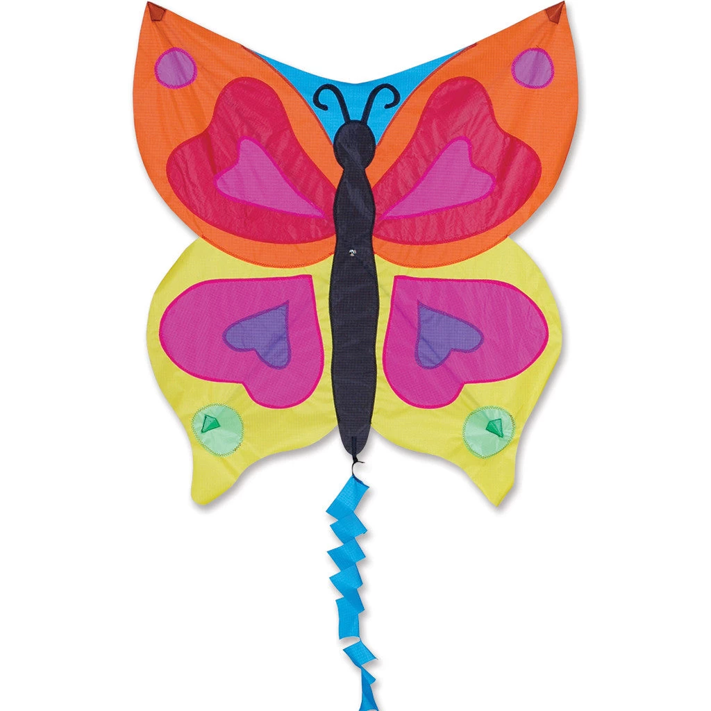 Fun Flyer Kite - Rainbow Butterfly 3 Fun Flyer Kite - Rainbow Butterfly