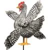 12 In. WhirliGig Spinner - Chicken