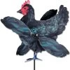 WhirliGig Spinner - Black Hen -Kite Shop 21938p BlackHen Whirligig 1024