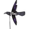 24 In. Raven Spinner -Kite Shop 25153