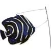 Swimming Fish - Angelfish -Kite Shop 26503p koreanangelfish SM
