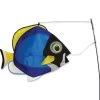 Swimming Fish - Powder Surgeon -Kite Shop 26505p powderbluesurgeonfish SM
