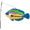 Swimming Fish - Peacock Wrasse -Kite Shop 26532p Peacock Wrasse Swimming Fish 2022 1024