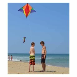 Gyro Delta Kite - Rainbow -Kite Shop 33094 2
