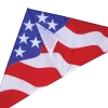 56 In. Delta Kite - Patriotic -Kite Shop 33158p Patriotic zoom