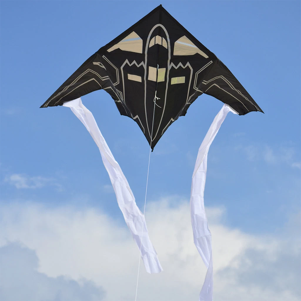 56 In. Delta Kite - Stealth Bomber 5 56 In. Delta Kite - Stealth Bomber - Image 3
