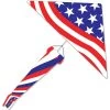 6.5 Ft. Delta Kite - Old Glory Pack -Kite Shop 33327g Patriotic 6ft Delta Package