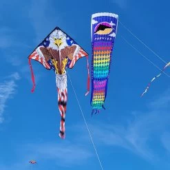 Large Easy Flyer Kite - Patriotic Eagle -Kite Shop 44026 Patriotic Eagle LGEZ location 1024