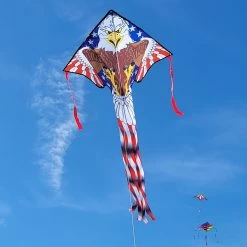 Large Easy Flyer Kite - Patriotic Eagle -Kite Shop 44026 Patriotic Eagle LGEZ location 2 1024