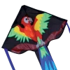 Regular Easy Flyer Kite - Happy Parrot