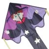 Large Easy Flyer Kite - Ned Wizard 1 Large Easy Flyer Kite - Ned Wizard -Kite Shop 44168p NedWizard LargeEZ zoom