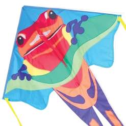 Jumbo Easy Flyer Kite - Poison Dart