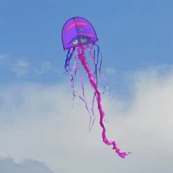 Cool Jellyfish Kite -Kite Shop 44333 1024