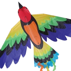Rainbow Bird Kite