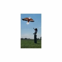 Bald Eagle Kite -Kite Shop 44933 2