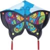 Butterfly Kite - Rainbow Orbit 1 Butterfly Kite - Rainbow Orbit -Kite Shop 44938p RainbowOrbitButterfly