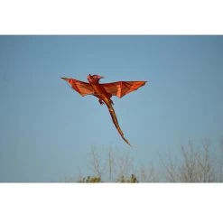 3D Dragon Kite - Emberscale -Kite Shop 46211 3 1024
