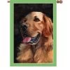 28 In. Flag - Golden Friend 1 28 In. Flag - Golden Friend -Kite Shop 52041g GoldenFriend