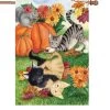 28 In. Flag - Harvest Kittens -Kite Shop 52061g HarvestKittens