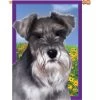 28 In. Flag - Wendell -Kite Shop 52216p wendelltheschnauzer