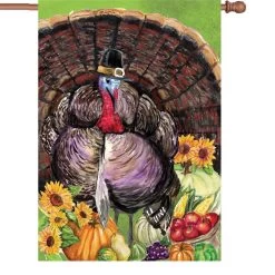 28 In. Flag - Turkey Pilgrim
