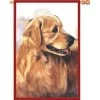28 In. Flag - Golden Retriever 2 28 In. Flag - Golden Retriever -Kite Shop 52695p goldenretriever