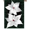 28 In. Flag - Silver Poinsettia -Kite Shop 52851g silverpoinsettia