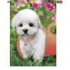 28 In. Flag - Puppy Love -Kite Shop 52978p PuppyLove