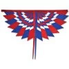 SoundWinds Fandance Banner - Patriotic -Kite Shop 53234p Fandance Patriotic 1024