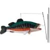 Swimming Fish Recumbent Bike Flag - Bass 1 Swimming Fish Recumbent Bike Flag - Bass -Kite Shop 53727p Bass Bike 1024