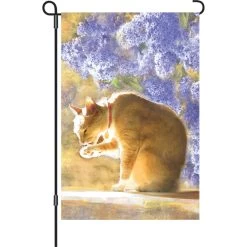 12 In. Flag - Bathing Tabby