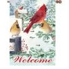 28 In. Flag - Snow Flurry Cardinals