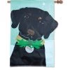 Applique Flag - Christmas Black Lab 2 Applique Flag - Christmas Black Lab -Kite Shop 57108 093000cc be1f 4c96 ac35 842ab4ed7592