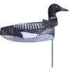 Windicator Weather Vane - Loon -Kite Shop 71005