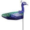 Windicator Weather Vane - Peacock -Kite Shop 71006