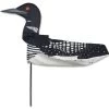 XL Windicator Weather Vane - Loon -Kite Shop 71047p Loon XL Windicator 1024