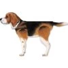 XL Windicator Weather Vane - Beagle -Kite Shop 71054p Beagle XL Windicator 1024