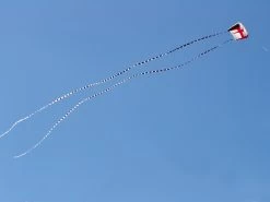 5 In. X 100 Ft. Transition Tail - Black/White