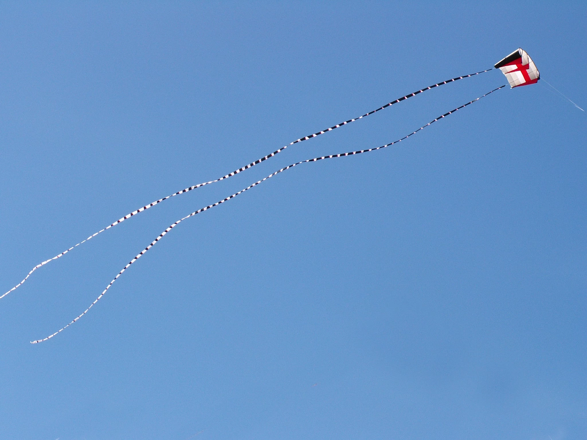 5 In. X 100 Ft. Transition Tail - Black/White 3 5 In. X 100 Ft. Transition Tail - Black/White