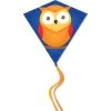 30 In. Diamond Kite - Owl (Bold Innovations) 1 30 In. Diamond Kite - Owl (Bold Innovations) -Kite Shop media 016dc1d9 57d4 4a22 9d82 b209b10eeaf9