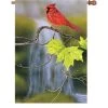 28 In. Flag - Cardinal And Waterfall -Kite Shop media dfc5b920 a70c 4180 bd53 30c24ce6017f